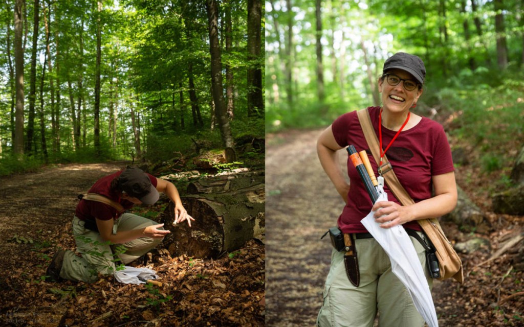 9. Juni 2023: Das Holz als&nbsp;Lebensraum